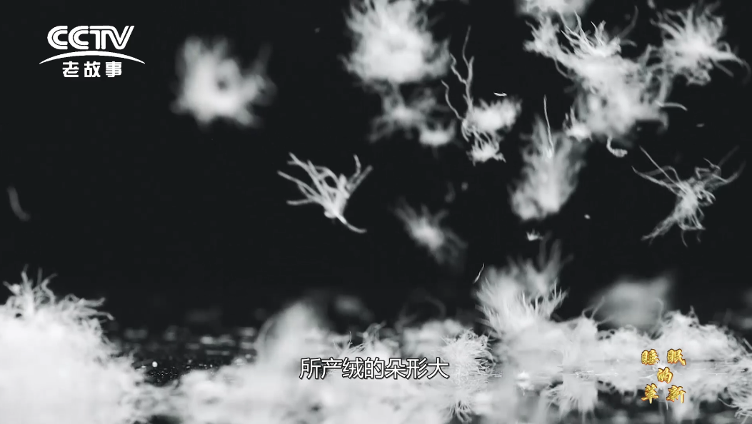 888集团(中国区)官方网站-Welcometo接待光临